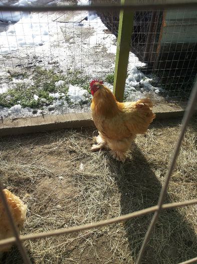 MjAxNDAyMDlfMTEwMjU0LmpwZw==