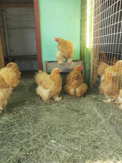 MjAxNDAyMDlfMTEwMTA0LmpwZw==