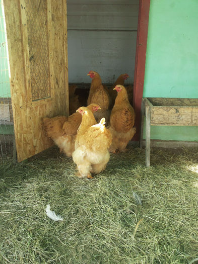 MjAxNDAyMDlfMTEwMTQyLmpwZw==