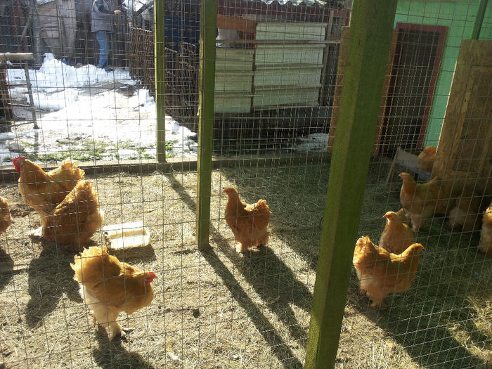 MjAxNDAyMDlfMTEwNzM5LmpwZw==