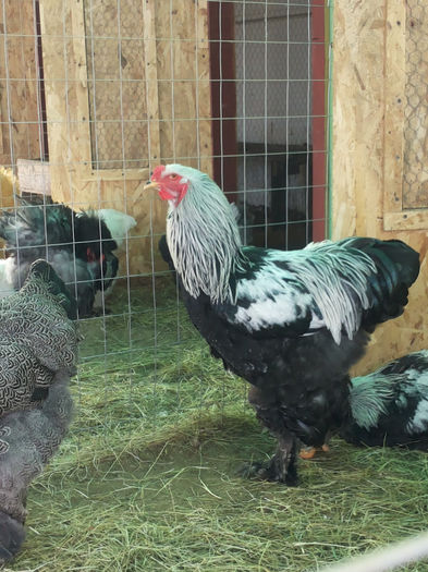 MjAxNDAyMDlfMTExNjEzLmpwZw==