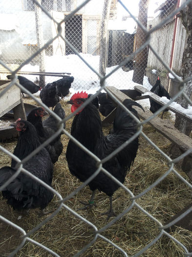 MjAxNDAyMDlfMTEyMzAwLmpwZw==