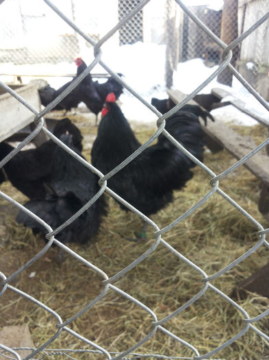 MjAxNDAyMDlfMTEyMzE1LmpwZw==