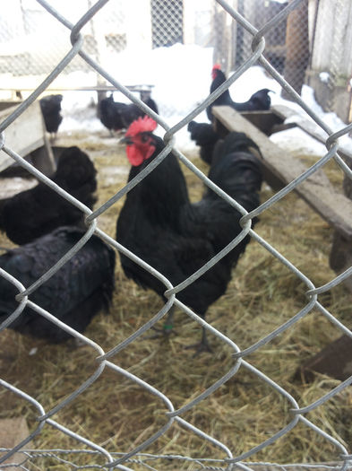 MjAxNDAyMDlfMTEyMzEzLmpwZw==