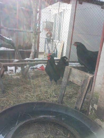 MjAxNDAyMDlfMTEyNjUzLmpwZw==