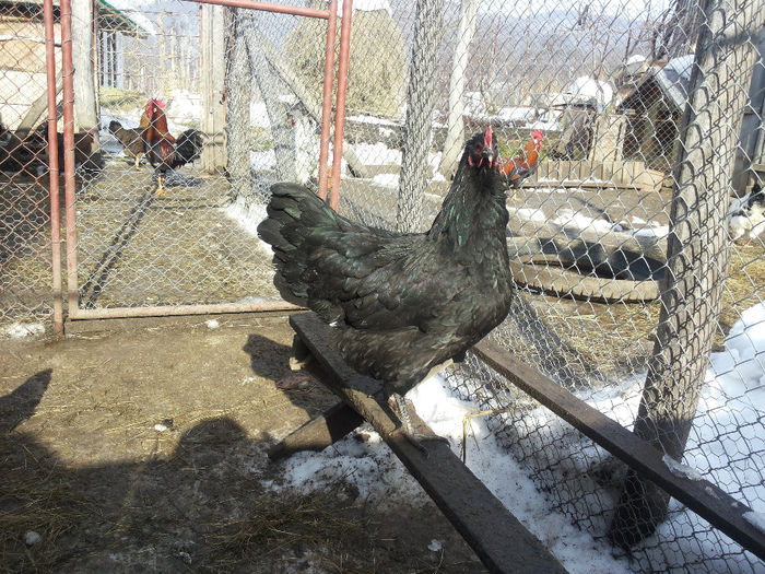 MjAxNDAyMDlfMTEyNTA3LmpwZw==