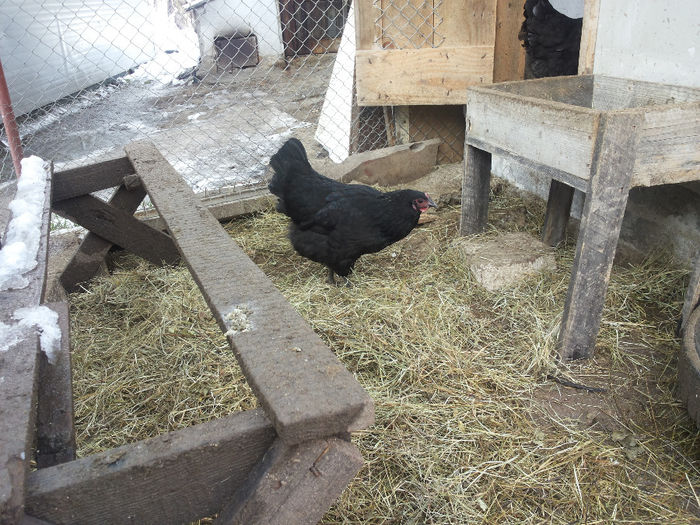 MjAxNDAyMDlfMTEyNTE5LmpwZw==