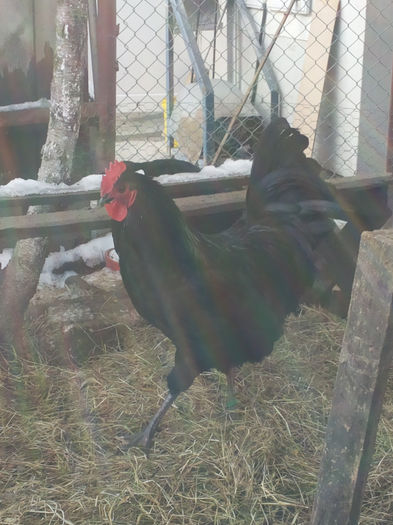 MjAxNDAyMDlfMTEyNzA3LmpwZw==