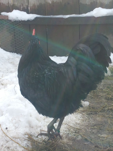 MjAxNDAyMDlfMTEyNzIzLmpwZw==