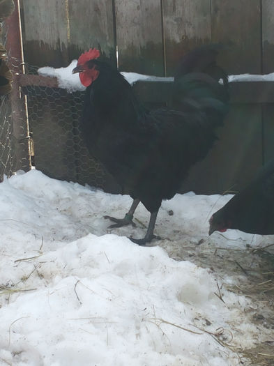 MjAxNDAyMDlfMTEyNzQ4LmpwZw==