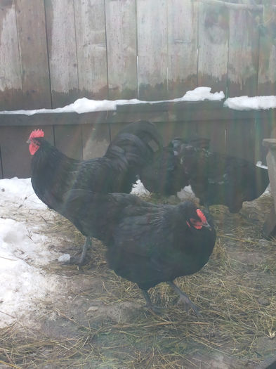 MjAxNDAyMDlfMTEyODIxLmpwZw==