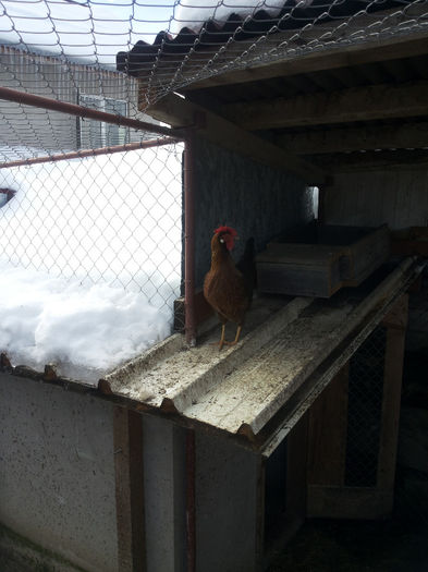 MjAxNDAyMDlfMTExODMzLmpwZw==