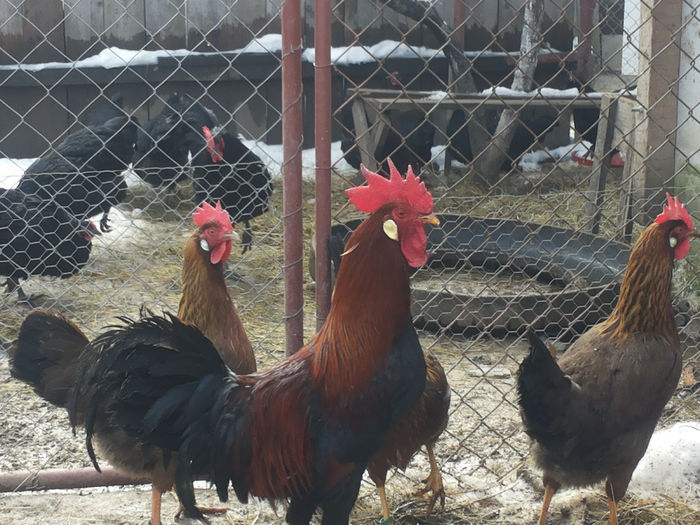 MjAxNDAyMDlfMTExODU3LmpwZw==