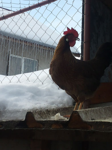 MjAxNDAyMDlfMTEyMDE0LmpwZw==