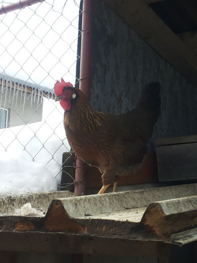 MjAxNDAyMDlfMTEyMDExLmpwZw==