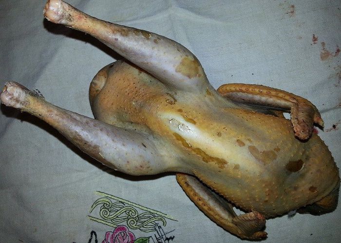 bibilica de tara taiata