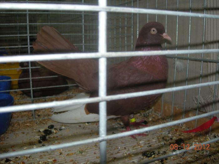 DSCN1422