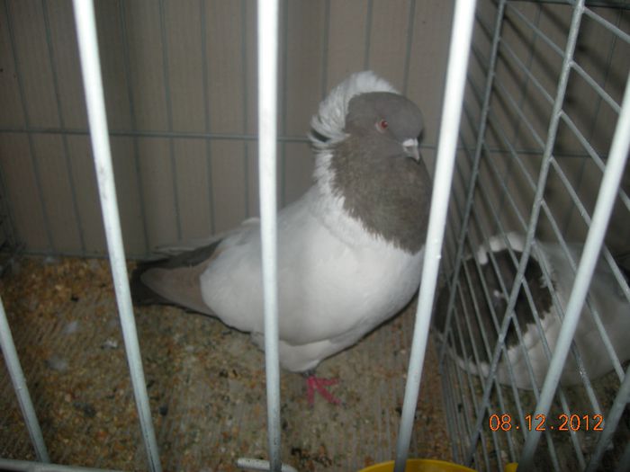 DSCN1431