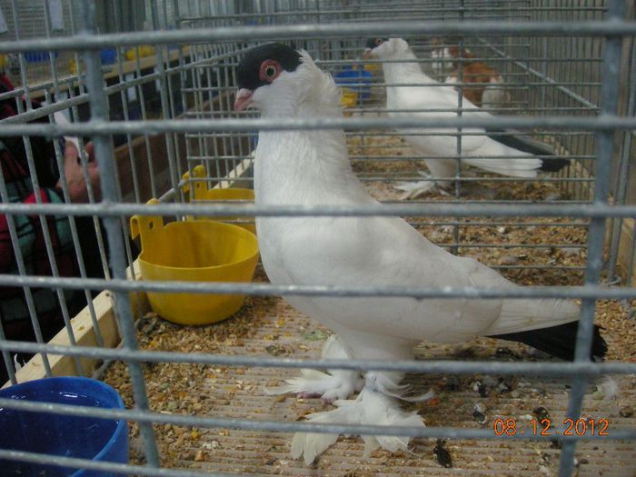DSCN1433