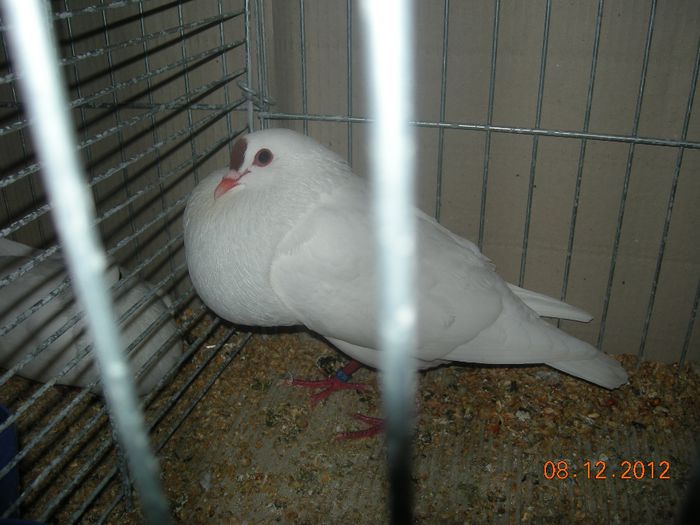 DSCN1456