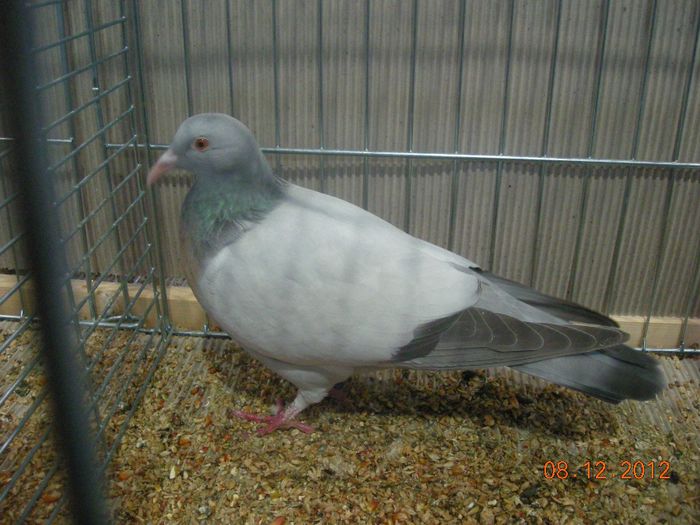 DSCN1466