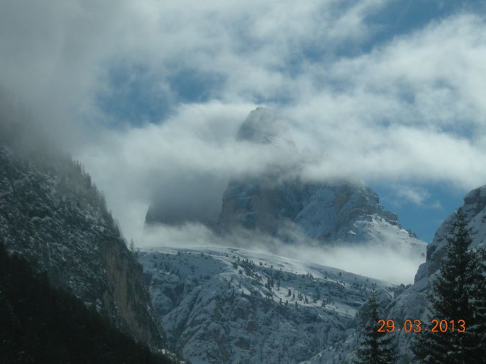 DSCN1631