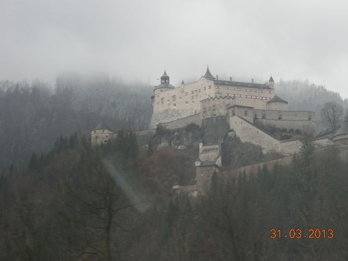 DSCN1683