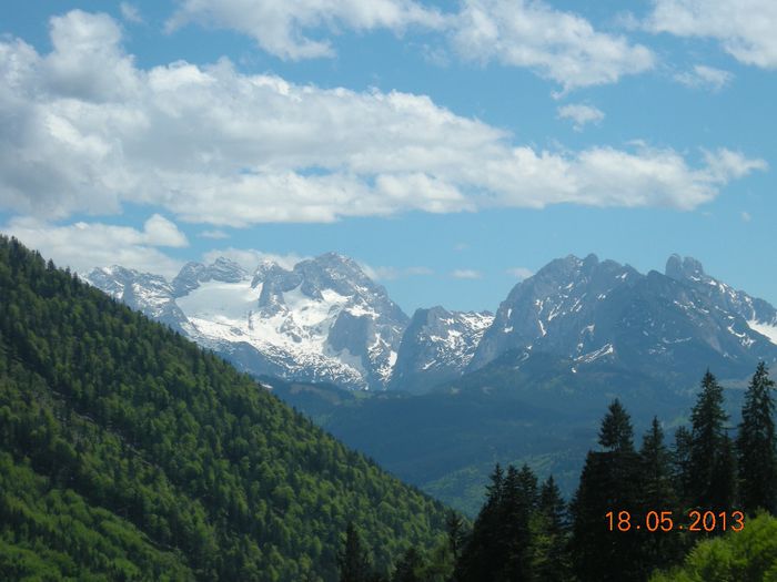 DSCN1749