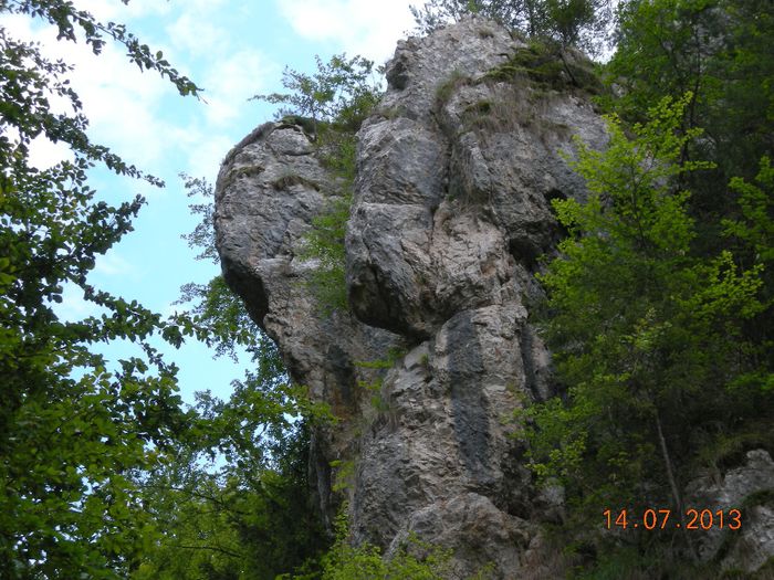 DSCN1817