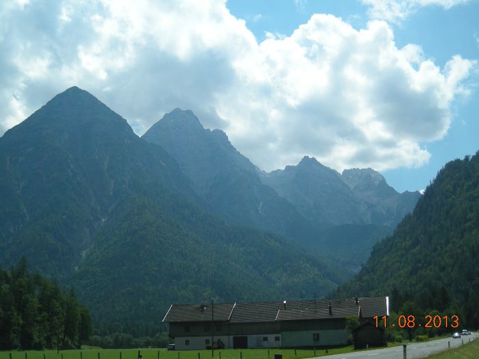 DSCN1884