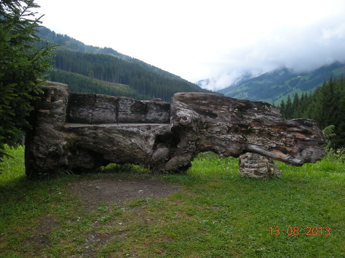 DSCN1977