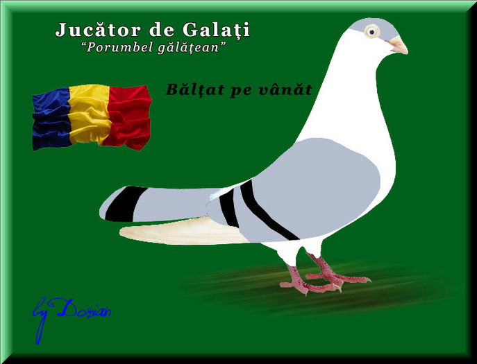 jucator de galati_plansa color1 - Ilustratii color