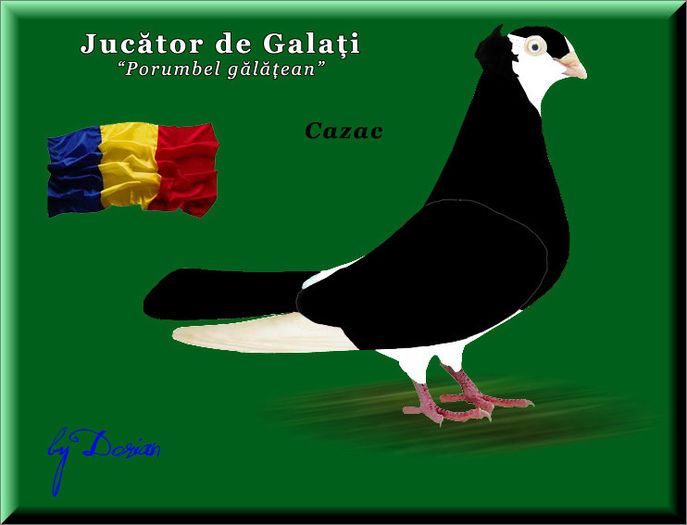 jucator de galati_plansa color3