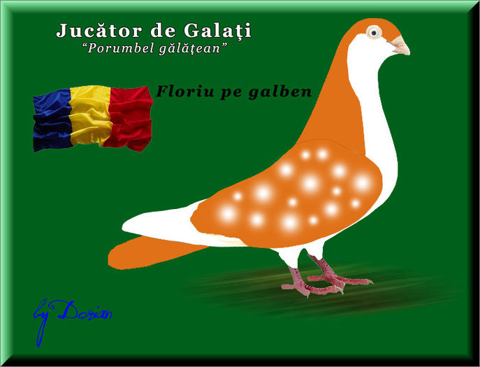 jucator de galati_plansa color4