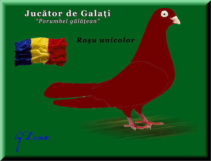 jucator de galati_plansa color6 - Ilustratii color