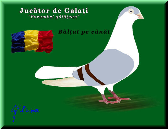 jucator de galati_plansa color7 - Ilustratii color