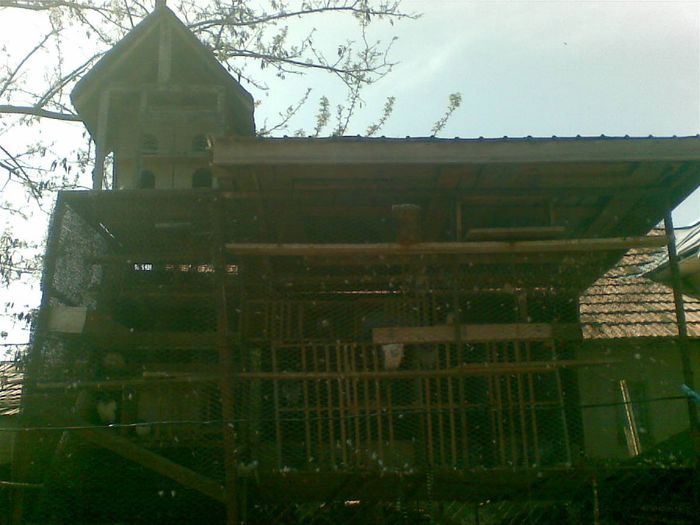 voliera sus misirlii cu juc si jos voiajori - voiajori aminiri 2011