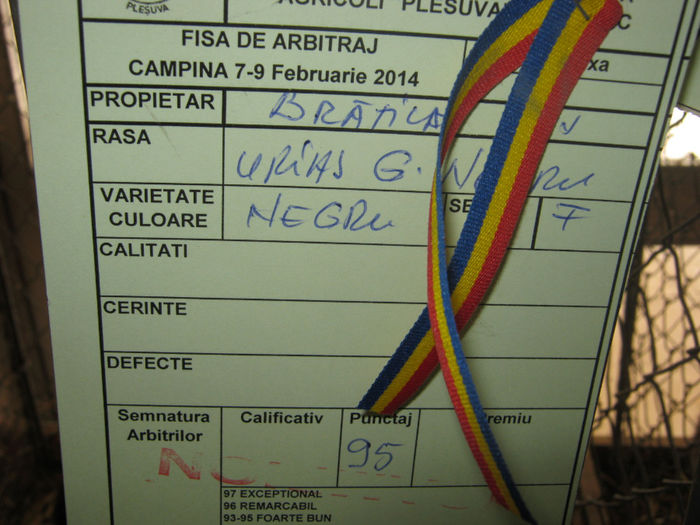 expozitie campina 2014 016