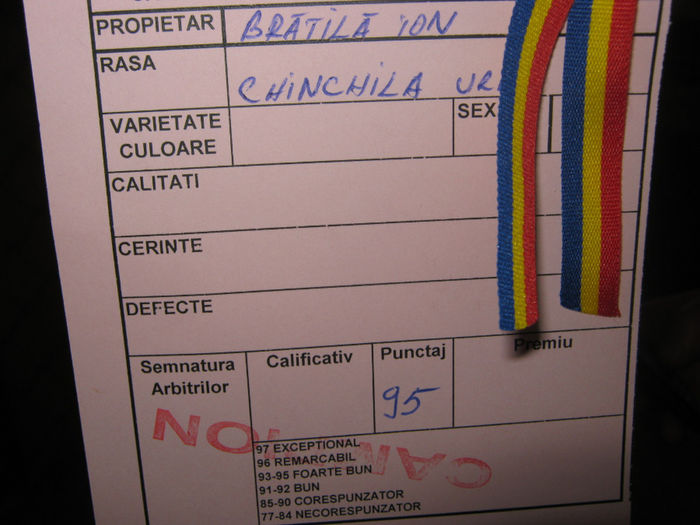 expozitie campina 2014 020