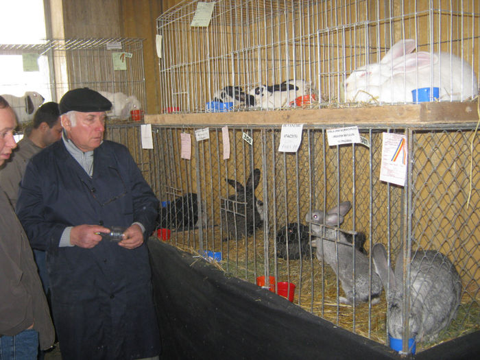 expozitie campina 2014 026