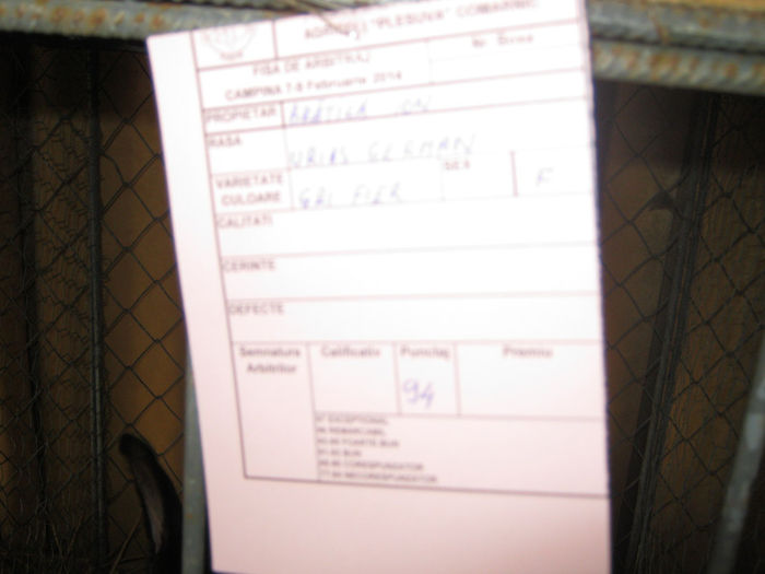 expozitie campina 2014 046