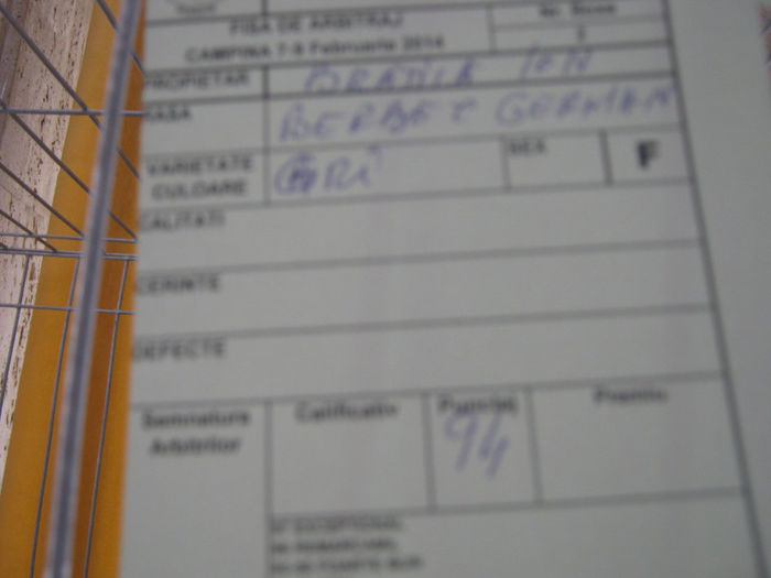 expozitie campina 2014 060