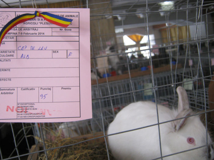 expozitie campina 2014 096