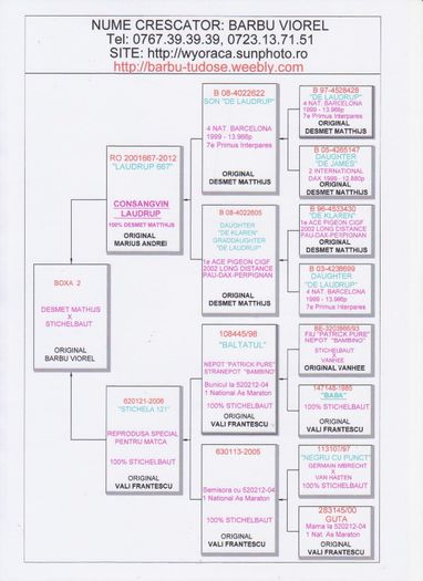 BOXA 2 - PEDIGREE PUI 2014