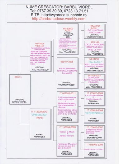 BOXA 5 - PEDIGREE PUI 2014