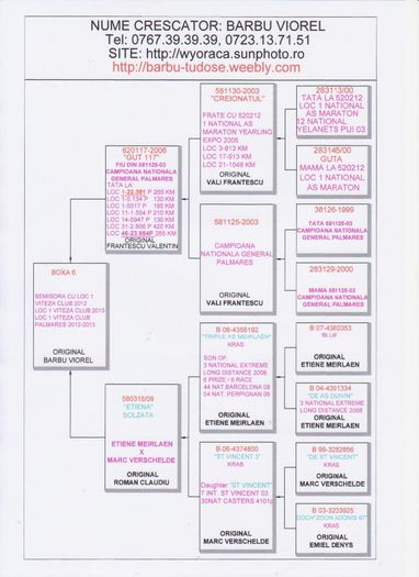 BOXA 6 - PEDIGREE PUI 2014