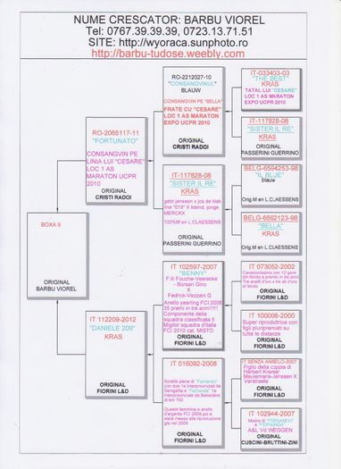 BOXA 9; Tatal este consangvin pe linia lui Cesare, loc 1 National As maraton 2010, original Cristi Radoi. Mama este o originala Daniele Fiorini.
