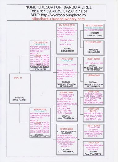 BOXA 11 - PEDIGREE PUI 2014