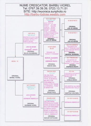 BOXA 15 - PEDIGREE PUI 2014