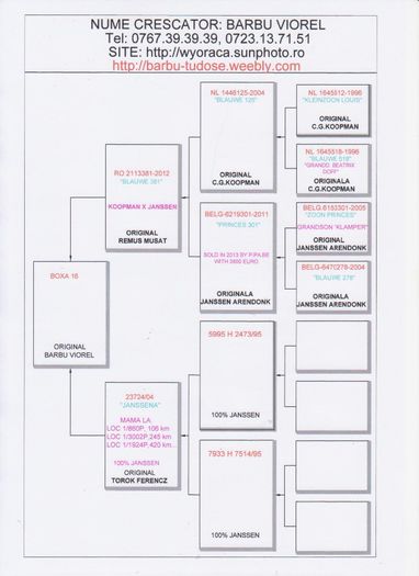 BOXA 16; Tatal este fiu din originali Koopman si Janssen de la Remus Musat.
Mama este 100% Janssen - Torok Ferencz.
